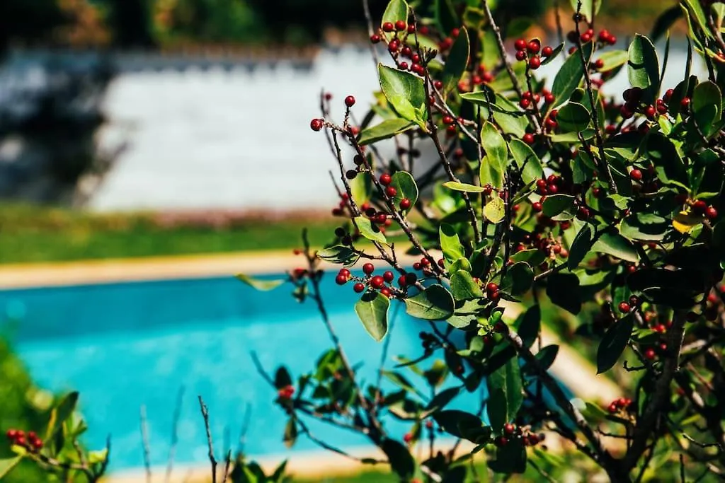 Residencia Ardilla Villa Marbella