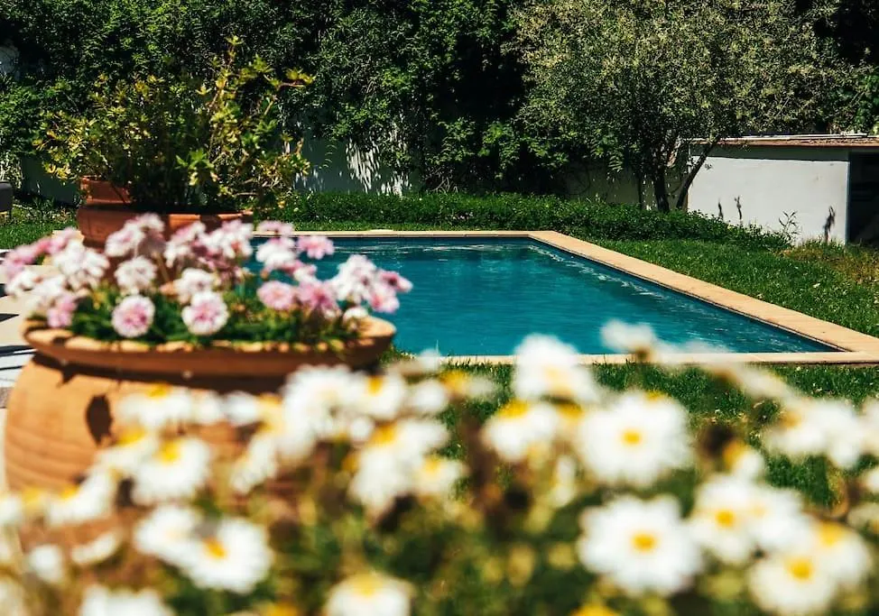 Residencia Ardilla Villa Marbella Spain
